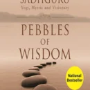 Pebbles Of Wisdom : Yogi, mystic and visionary