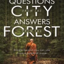 Questions from the City, Answers from the Forest : Simple lessons you can use from a Buddhist monk