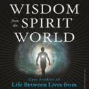 Wisdom from the Spirit World : Case studies of life between lives from the Michael Newton institute